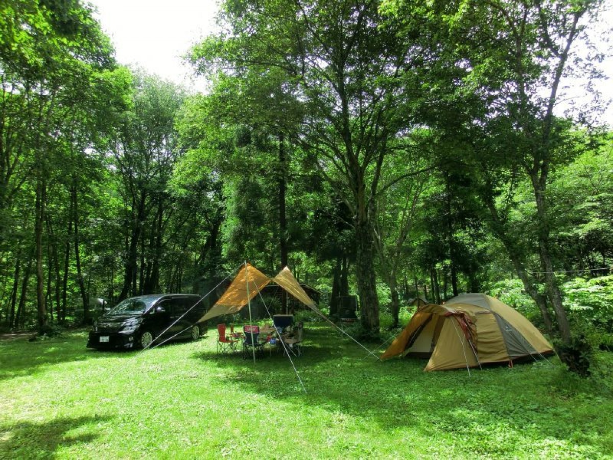 画像1: キャンプサイト