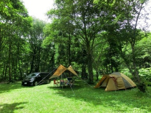 キャンプサイト
